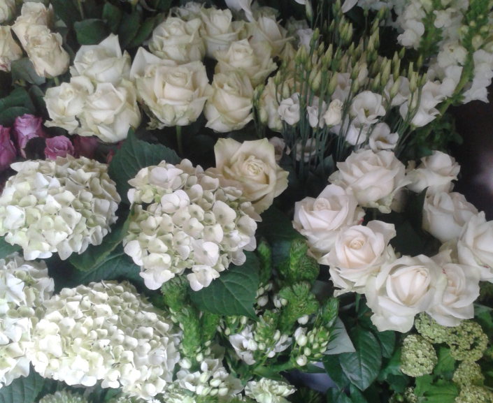 Schnittblumen